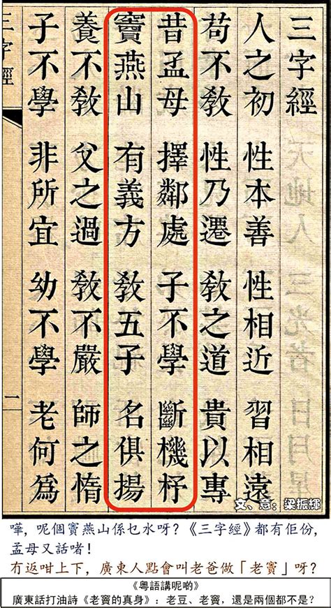 燕子竇|【粵語講呢啲】廣東話打油詩《老竇真身》：老豆、老竇，還是兩。